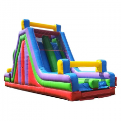 40ft Long 18ft High  Retro Double Lane Slide