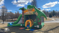 MEGA Dinosaur Combo (WET or DRY)