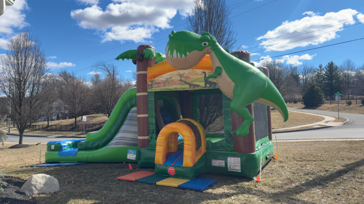 MEGA Dinosaur Combo (WET or DRY)